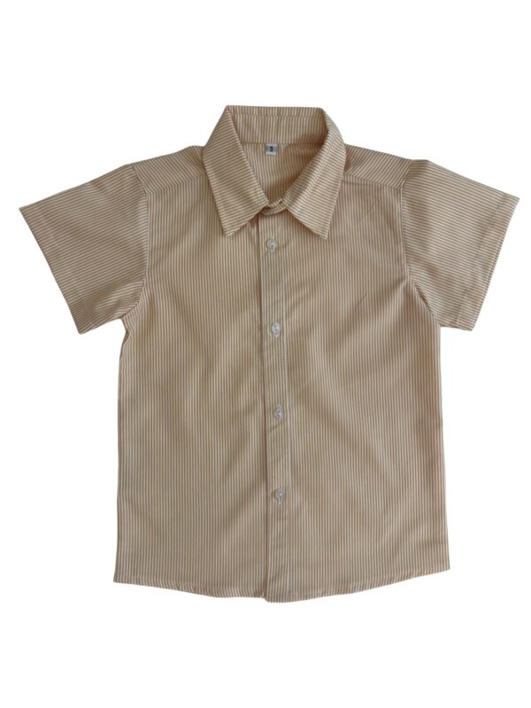 CAMISA RAYADA AMARILLA 2