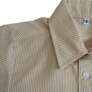 CAMISA RAYADA AMARILLA - Imagen 2